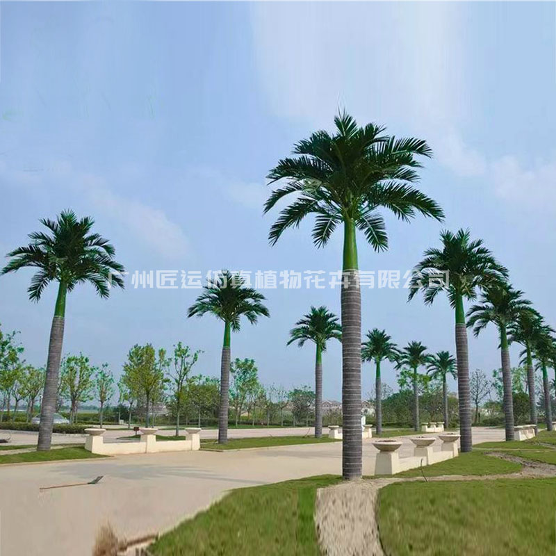 河南湿地公园仿真大王椰